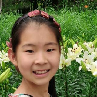 王语蔓 《哭泣的小鹿》