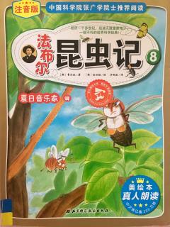 法布尔昆虫记8夏日音乐家蝉-我有400个兄弟姐妹