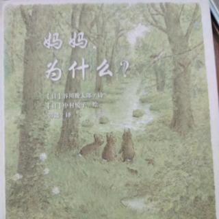 陈毅轩讲绘本故事《妈妈，为什么？》