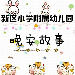 新区小学附属幼儿园.晚安故事《小象上学》