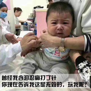 7.让狗咬了怎么办