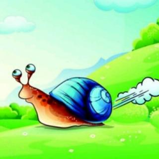 《小蜗牛去旅行》