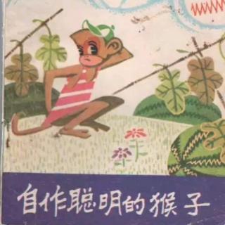 绘本故事《自作聪明的猴子》