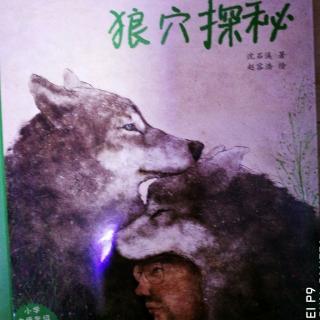 《狼穴探秘》之我尽量做个称职的狼丈夫