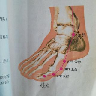 足太阴脾经循行21穴及隐白大都太白公孙详解