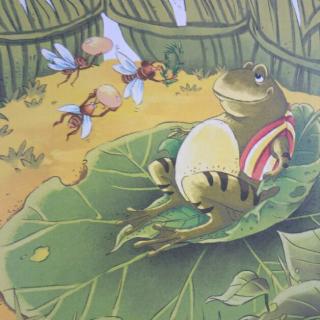 骄傲的青蛙🐸【动物故事】