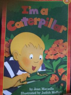 I am系列之《I 'm a caterpillar》