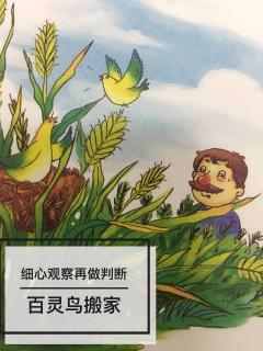 👩🏼‍🏫文艺老师讲故事🎖勤勉上进篇《百灵鸟搬家》