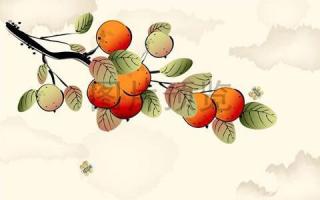 377、《小乌龟的橘子树》
