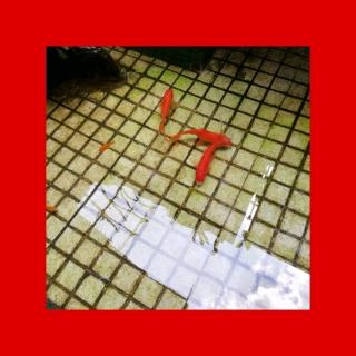 湛江话「墨尔本的翡翠」恶搞版