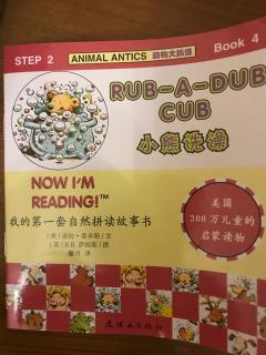 rub-a-dub cub 20180802