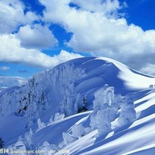 雪葬  胡世宗