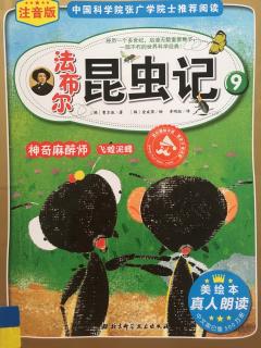 法布尔昆虫记9神奇麻醉师飞蝗泥蜂-重遇老友