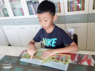 《大青树下的小学》