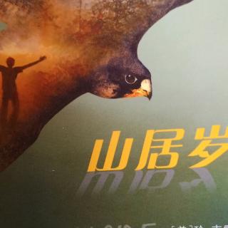 山居岁月 第八章 树屋外的人