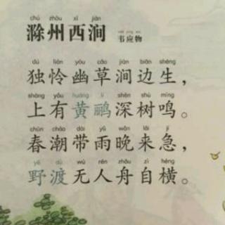 滁州西涧 韦应物