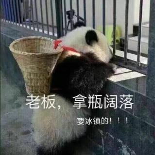 每日一推（趁早）［翻唱］