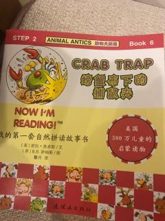 crab trap 20180804