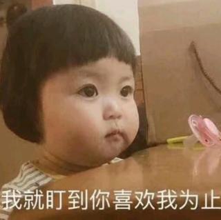 可爱版！小毛驴