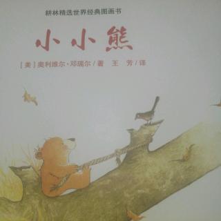 《小小熊》