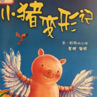 【🐷小猪变形记】