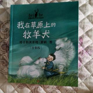 《我在草原上的牧羊犬》梦想成真