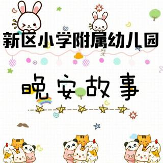 新区小学附属幼儿园·晚安故事《和甘伯伯游船》