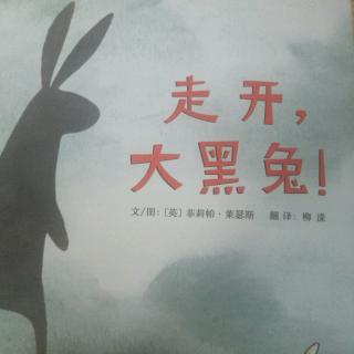 《走开，大黑兔》