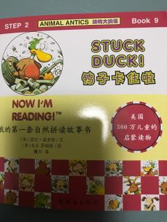 stuck duck 20180807
