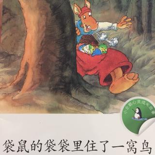 口才宝🐸语商乐园💤晚安故事【59 袋鼠的袋袋里住了一窝鸟🐦】