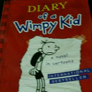 Diary of a Wimpy Kid:28