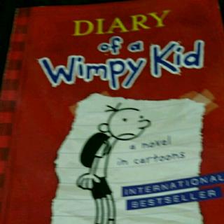 Diary of a Wimpy Kid:30