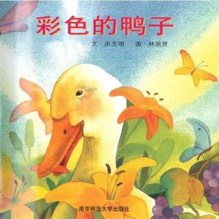 【第1433天】绘本故事《彩色的鸭子》