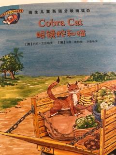 培生儿童分级阅读～9级～Cobra Cat