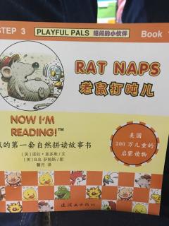 rat naps 20180808