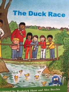 the duck race