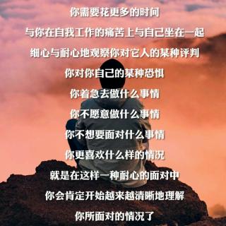 太傻回信:关于动物带给我们的课题