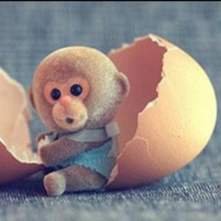 偷鸡蛋的小猴