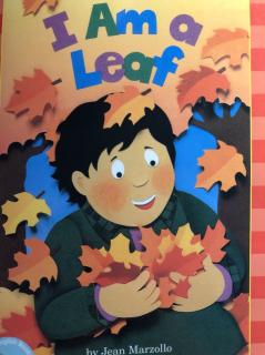 i am a Leaf