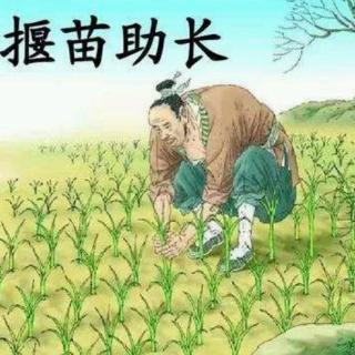 揠苗助长