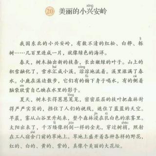 20《美丽的小兴安岭》