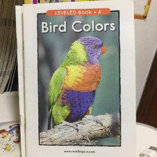 Bird colors