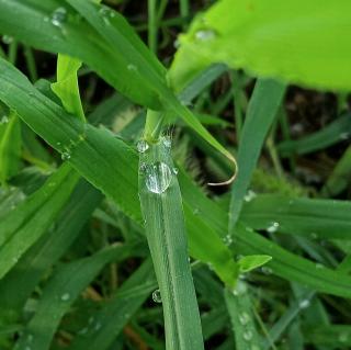 春暖花开《转身，遇到秋》