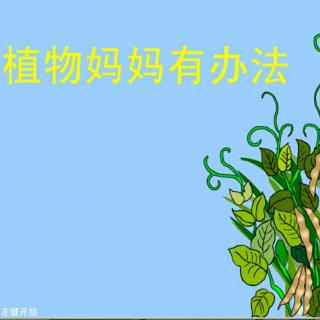 第三课《植物妈妈有办法》