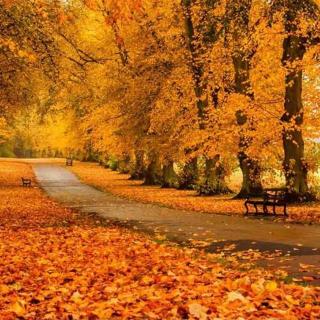 《站在秋的路口》詩朗誦