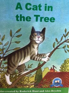 a cat in the tree