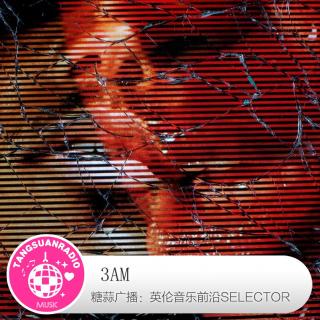 糖蒜爱音乐之The Selector：3AM
