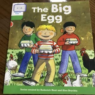 牛津阅读树 2-13 The Big Egg