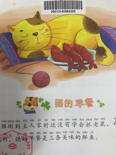 猫的早餐