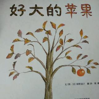 陈毅轩讲绘本故事《好大的苹果》